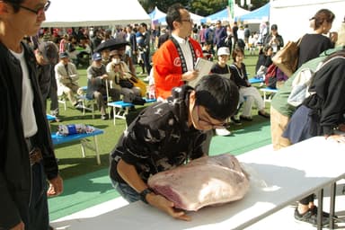 食肉フェスタ(2019年) 5