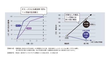 実験結果グラフ