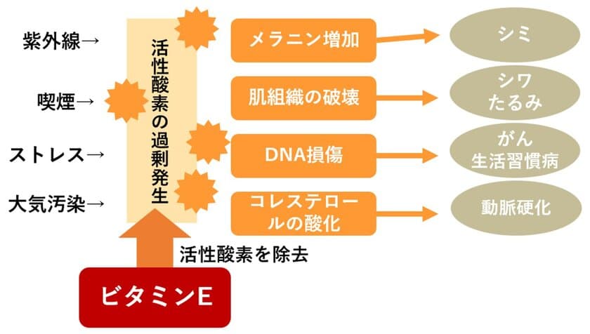 受験シーズンに向けてコラム公開！
春の「ここ一番」はアーモンドでストレス対策＆血流改善！
アーモンドミルクの嬉しい効果を解説