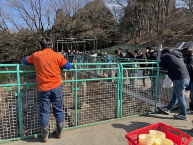 宝登山小動物公園節分イベントイメージ