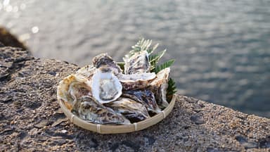 三笠丸自慢の活牡蠣