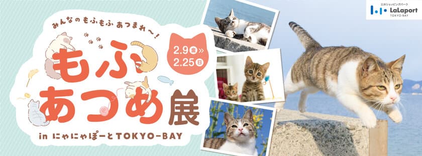 「もふあつめ展 in にゃにゃぽーとTOKYO-BAY」を2/9から開催　
一般公募の飼い猫写真展示や、POP-UPストアも実施