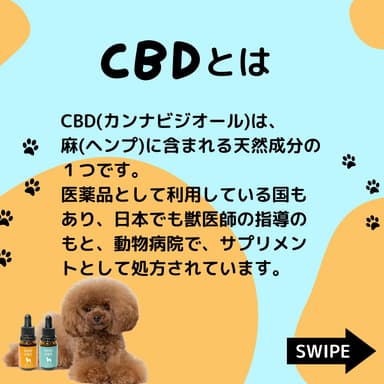 CBDとは1