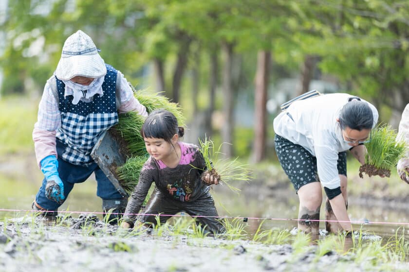 ＜参加者募集のお知らせ＞
栃木県塩谷町にて親子で米作り体験！2月26日(月)参加者募集開始　
～5月12日(日)田植え・9月23日(月・祝)稲刈り 全2回プログラム～