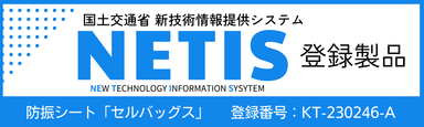 NETIS登録情報