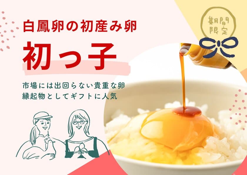 美味しい卵とプリンのお取り寄せ！
市場には出回らない貴重なたまご初産み卵『初っ子』と
お祝いスイーツ『初っ子プリン』の予約受付をスタート！