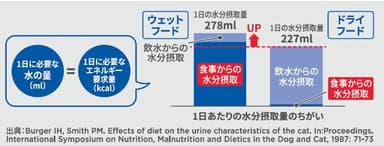 給与時の水分摂取量