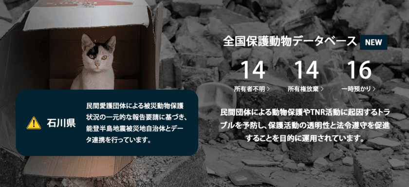 被災地の混乱を解消へ！
所有者不明動物の取り扱いに関し「ペットのおうち」や
「ネコリパブリック」などを含む全国70以上の
動物愛護団体が連名でガイドラインを発表。