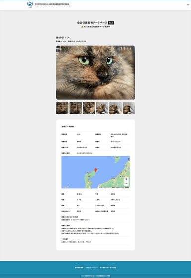 保護動物の情報詳細