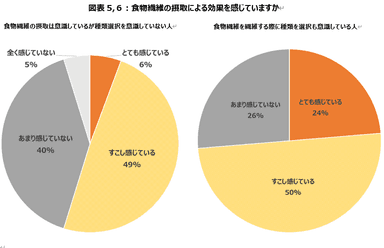 図表5、6