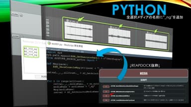 サンプルコードREAPDCOK-Python