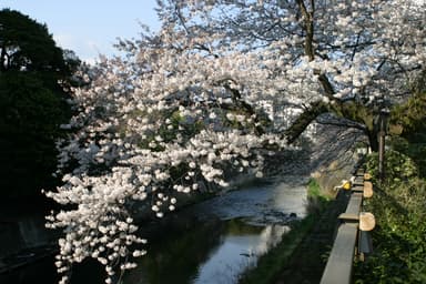 松川遊歩道