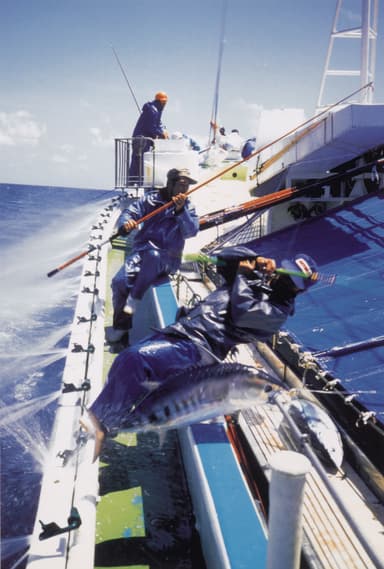 伝統の鰹一本釣り