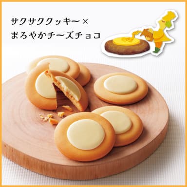 オタルト　チーチョコビスコット