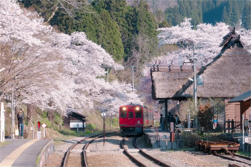 福島県下郷町の春のおすすめ撮影スポット情報　
撮影観光ポータルサイト「フォトナビ下郷」にて公開