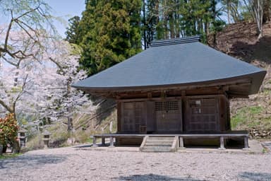 中丿沢観音堂と桜