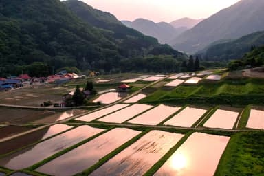 芦ノ原地区の棚田