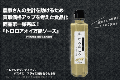 食品化第一弾　トロロアオイ万能ソース「かみのとろ」青山在来大豆味