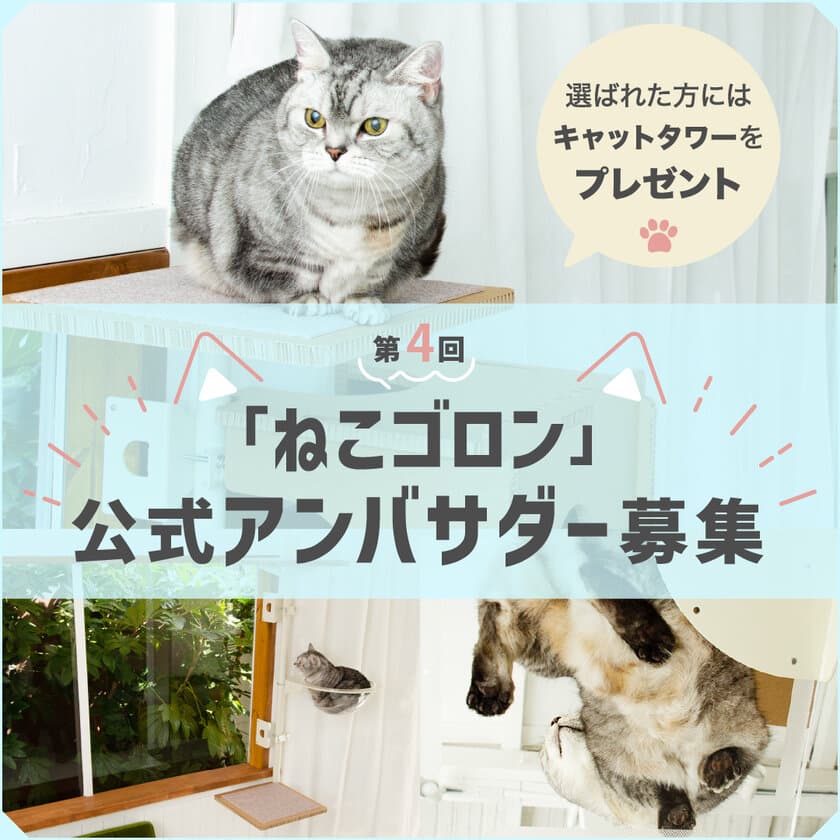 窓枠につけるキャットタワー『ねこゴロン』
Instagramにて第4回公式アンバサダーを
3月22日から3月31日まで募集！