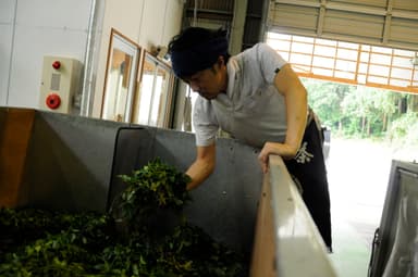 茶来未のお茶を仕上げる工程