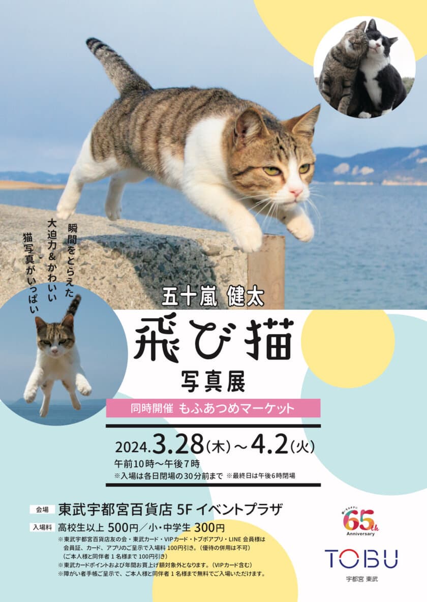 五十嵐 健太「飛び猫写真展」が3月28日(木)から
東武宇都宮百貨店で開催