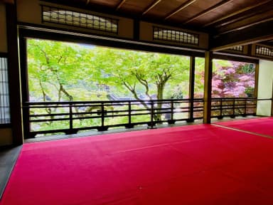 柳谷観音楊谷寺の新緑の上書院