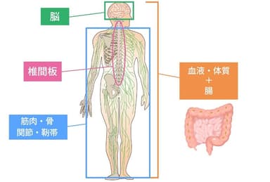 OJWellness(1)