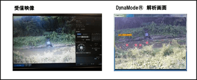 受信映像と「DynaMode(R)」解析画面