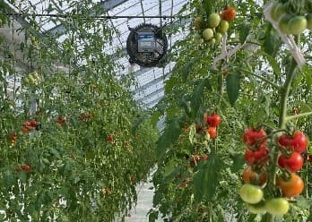 近鉄ふぁーむ花吉野