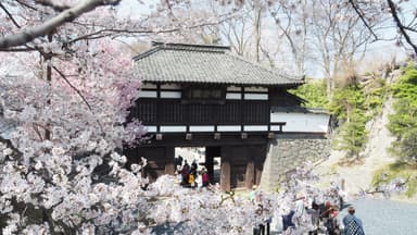 小諸城址懐古園三の門