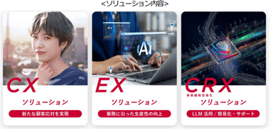 ソリューション内容