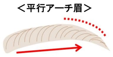 平行アーチ眉図