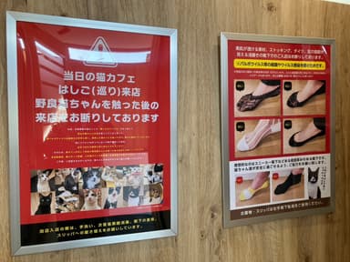 感染症予防のポスターなどでの告知も保護猫カフェの役目と感じています。