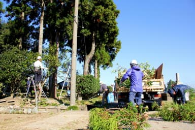 「カイニョお手入れ支援隊」による屋敷林整備の様子