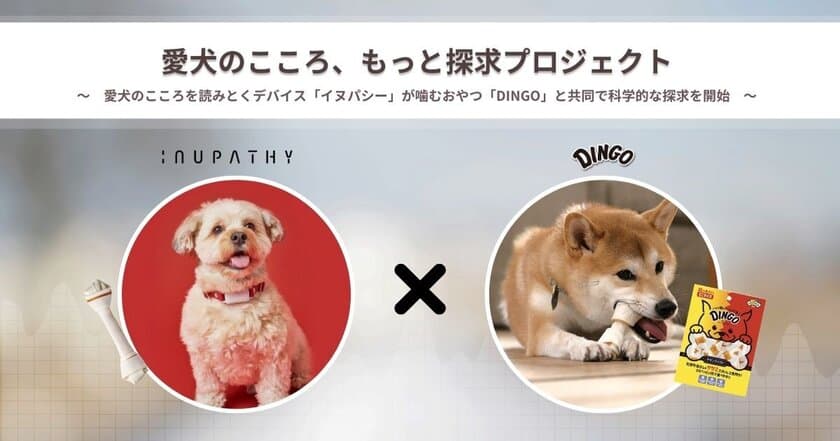 愛犬のこころ・もっと探求プロジェクト開始！
現代犬がストレスなく幸せに暮らすために必要なことは？