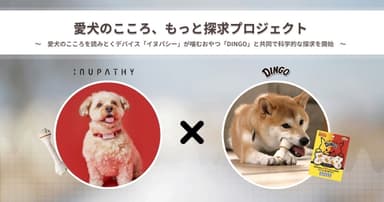 愛犬のこころ・もっと探求プロジェクト開始！