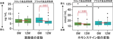 葉酸値とホモシステイン値