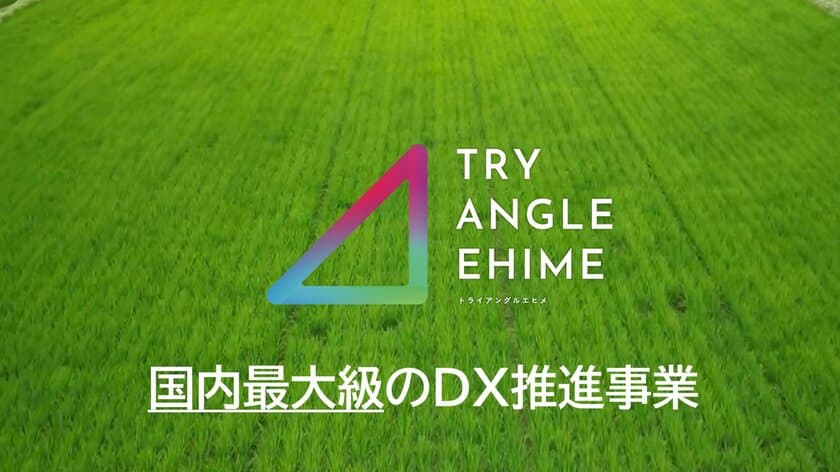 トライアングルエヒメ推進事業「デジタル実装加速化プロジェクト」　
産業や暮らしなど多様な分野での新規採択を目指し、
令和6年度の案件募集開始！