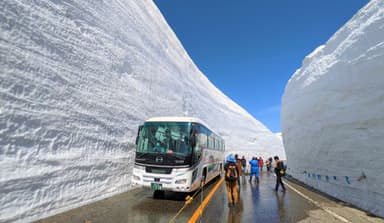 圧巻の雪の壁を体感できる「雪の大谷ウォーク」