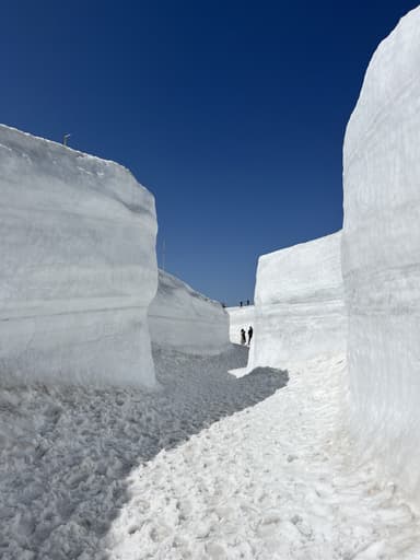 雪の回廊