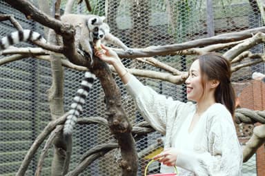 朝食後は、開園前のサユリワールドをお楽しみいただけます。