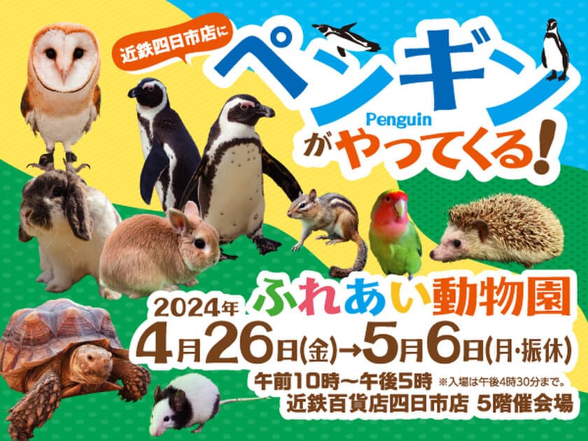 近鉄四日市店にペンギンがやってくる！
ふれあい動物園