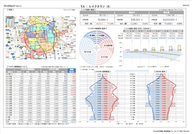 越谷レイクタウン分析レポート2