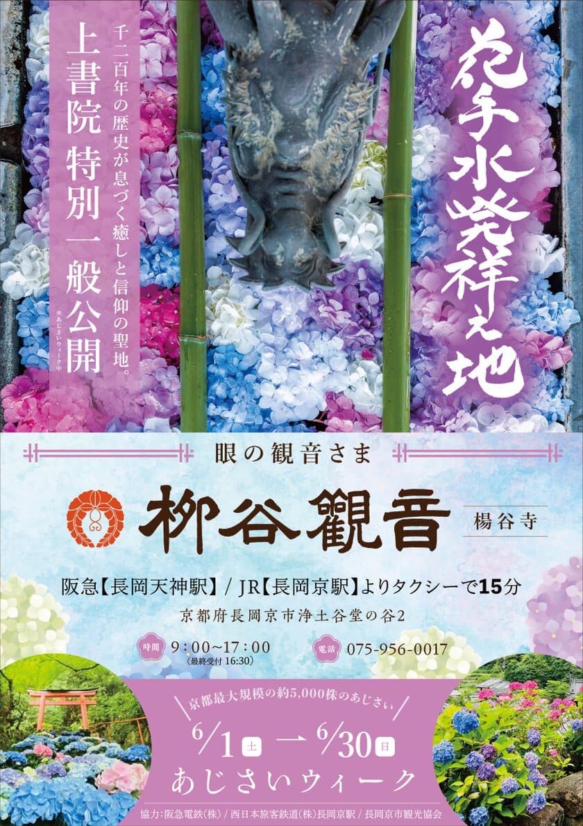 京都最大規模！花手水発祥の地「柳谷観音」にて
約5,000株が咲き誇る「あじさいウイーク」6/1～6/30まで開催