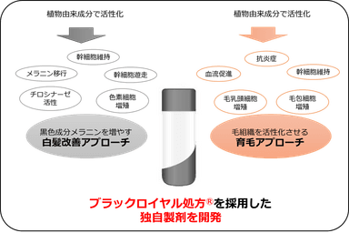 図2：2つのアプローチを合わせた独自製剤を開発