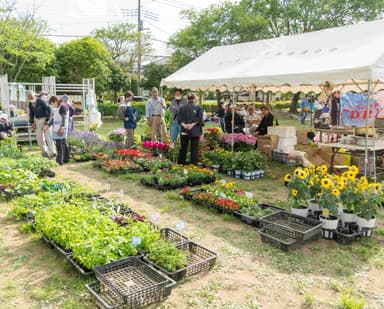 ▲植物販売会(2023年撮影)