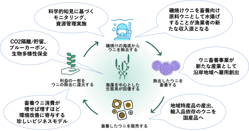 磯焼け対策を目的とした北海道におけるウニ畜養事業に関する
連携協定の締結について