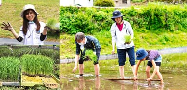 過去のイベントの様子