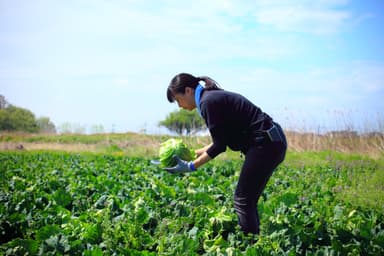 株式会社みまつ食品　開発部　都丸さん