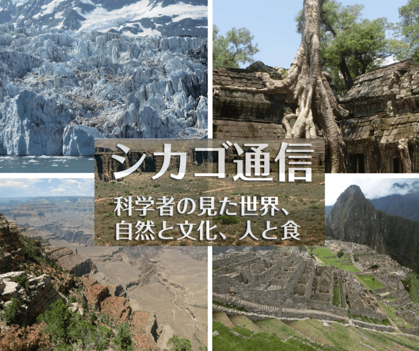 シカゴ大学名誉教授 土井邦雄氏が見た世界　紀行エッセイ書籍化
　日本医学物理学会より発行！